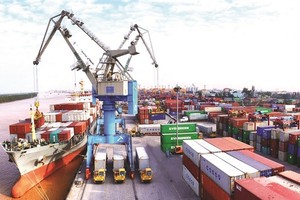 Container Việt Nam đưa ra dự tính lãi có thể giảm 12% trong năm 2021