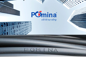 Công ty của sếp Pomina không bán hết cổ phiếu POM như đăng ký