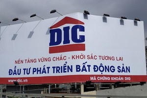 Nối bước Him Lam, cổ đông lớn Thiên Tân thoái dần vốn tại DIC Corp