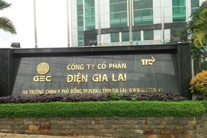 Điện Gia Lai dự kiến chào bán 64 triệu cổ phiếu với giá chiết khấu 46%