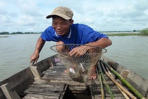 Mưu sinh mùa lũ cạn nơi đầu nguồn sông Cửu Long