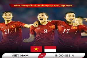 ĐTQG Việt Nam - ĐTQG Indonesia: Quà cho NHM trước ngày xuất ngoại