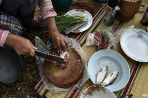 Ăn cá sống gây ung thư gan: Nên từ bỏ ăn thực phẩm sống