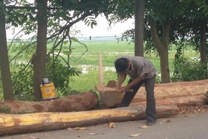 Mơ gian nhà cổ gỗ mít: Đại gia chồng tiền tỷ chờ 5 năm chưa có