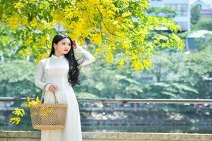 “Hot girl bánh mướt” xứ Nghệ khoe dịu dàng mùa hoa hoàng yến