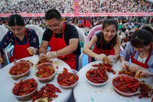 'Tham thì thâm': Nuôi tôm hùm đất hậu quả khó lường