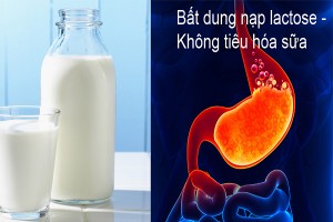 Video: Tại sao nhiều người bị đau bụng khi uống sữa? 