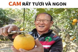 Ảnh chế bóng đá: Đội tuyển Việt Nam ăn ngon trái cam