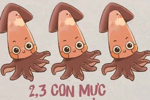 Trào lưu "2, 3 con mực" vừa bay màu khỏi Youtube là gì? 