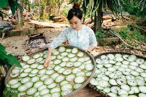 Bỏ thành phố với mức lương khá, cô gái Quảng Nam về quê làm ruộng  