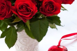 Vì sao các cặp tình nhân thường tặng hoa hồng đỏ ngày Valentine?