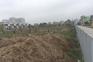 Hà Nội thu hồi 80.000m2 đất vi phạm tại Lũng Lô 5