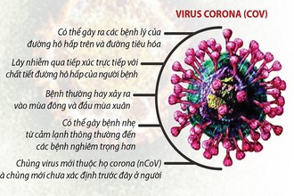 Video: Nhạc chế chống virus Corona gây sốt