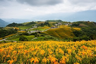 Choáng ngợp lễ hội hoa lily lớn nhất hành tinh