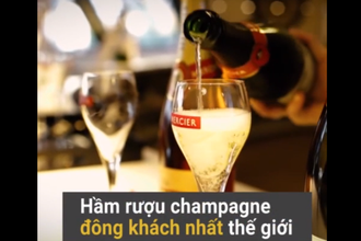 Video: Hầm rượu champagne dài 18 km