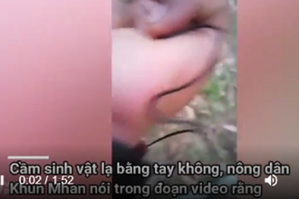 Video: Cận cảnh sinh vật kỳ lạ tại Thái Lan