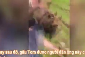 Video: Chú gấu nhỏ đuổi theo người đàn ông để đòi ăn... kem