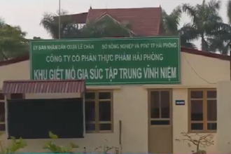 Hải Phòng: Lò giết mổ gia súc “tra tấn” người dân