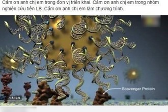 Chữa ung thư bằng nano vàng: Phá nát cơ thể... chết nhanh!