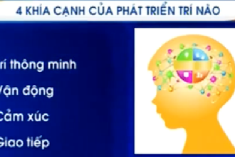 4 yếu tố phát triển trí não toàn diện ở trẻ