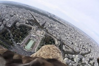 Toàn cảnh Paris nhìn từ trên lưng đại bàng 