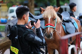 Hình ảnh loài ngựa mới "nhập ngũ" đoàn kỵ binh của CSCĐ tung vó thảo nguyên