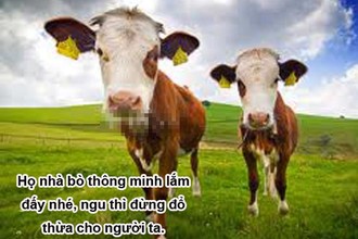 Khi động vật tỏ ra “nguy hiểm” (P15)