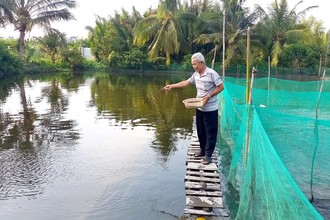 Nuôi cá tra kiểu Sài Gòn, ông nông dân thu trăm triệu mỗi năm