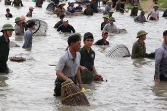 Vì sao cả làng ở Hà Tĩnh lao xuống đầm bắt cá 