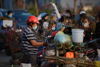 Cây cảnh Tết chiều 30, bán rẻ như cho... khách vẫn không buồn "ngó"