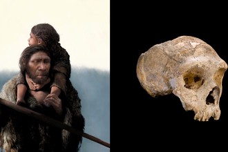 Chuyên gia "sốc" vì hóa thạch loài người Neanderthal