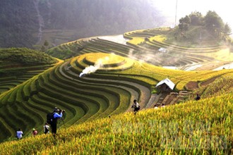 Ruộng bậc thang Mù Cang Chải đẹp mê hồn, giới trẻ “hò” nhau lên đường