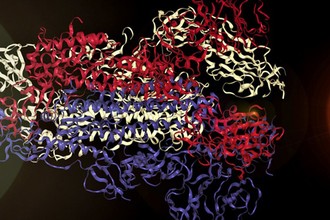 Đây là "âm thanh" của virus corona