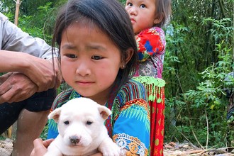 Em bé vùng cao ôm khư khư chú chó, ai biết lý do cũng “tan chảy“