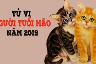 Video: Tử vi tuổi Mão tháng 3/2019 âm lịch, tiền bạc lần lượt đổ về