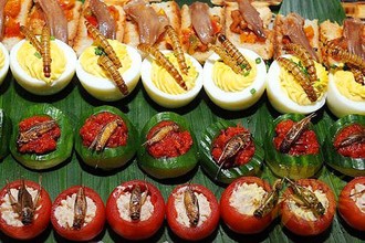 Những loại snack, bánh côn trùng cực dị bạn có dám thử