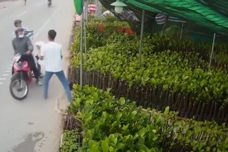 Video: Hai kẻ trộm chó chĩa súng dọa bắn chủ nhà