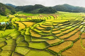 Hành trình khám phá Măng Đen - Đà Lạt thu nhỏ giữa lòng Tây Nguyên