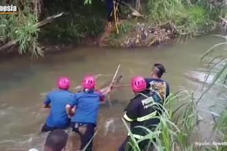 Video: Thu phục cá sấu khủng lang thang gần nhà dân