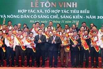 Thủ tướng dự lễ tôn vinh HTX, tổ hợp tác và nông dân tiêu biểu