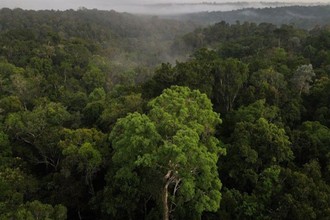 &#34;Báo động đỏ&#34; khí thải CO2 trên Trái đất, cao chưa từng có trong 800 năm