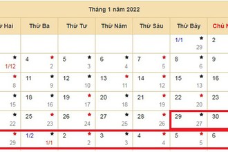 Đề xuất nghỉ Tết Nguyên đán Nhâm Dần 9 ngày