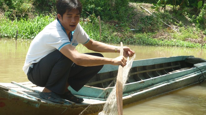 Cá lạ cắn người: “Chỉ có thể là cá nóc mít “