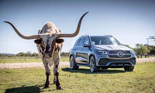 Mercedes-Benz GLE 2020 máy dầu, giá từ 1,63 tỷ tại châu Âu