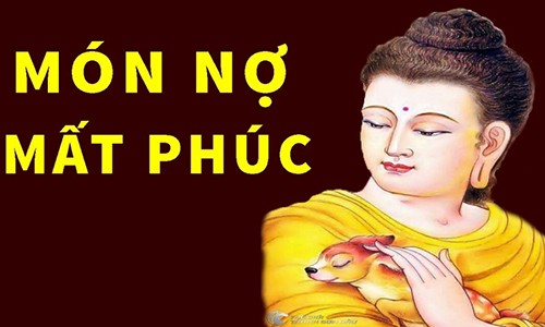 Mắc nợ thứ này có nghĩa là bạn đang tự mình gieo nghiệp nghèo hèn