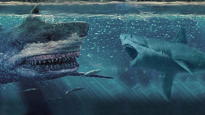 Video: Loài cá mập còn đáng sợ hơn cả Megalodon