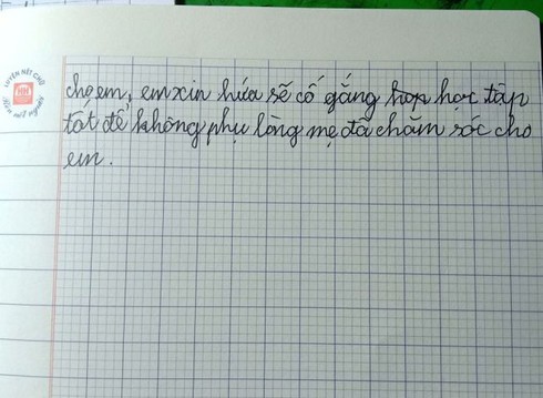 Bài văn tả mẹ 'răng vàng khè sau làn môi đỏ' của HS lớp 5 gây xôn xao