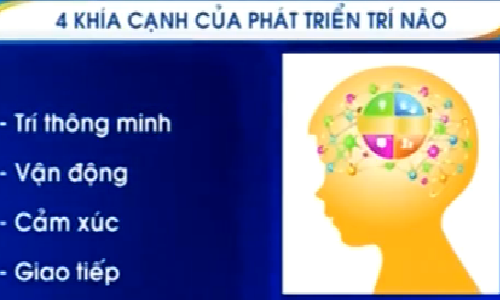 4 yếu tố phát triển trí não toàn diện ở trẻ