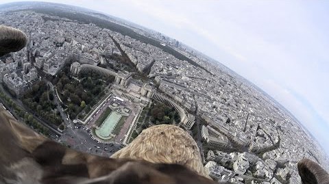 Toàn cảnh Paris nhìn từ trên lưng đại bàng 