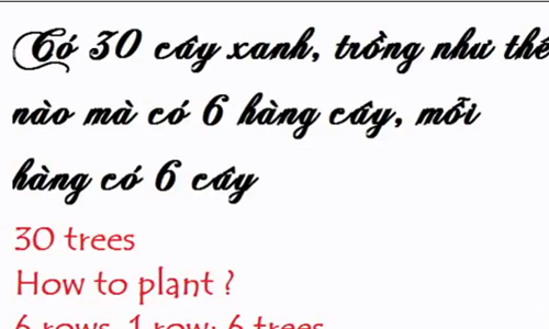 5 câu đố hại não thử tài thông minh của bạn 